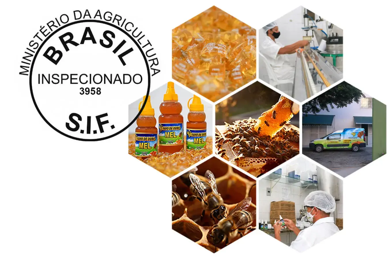 Apiário Favo de Ouro