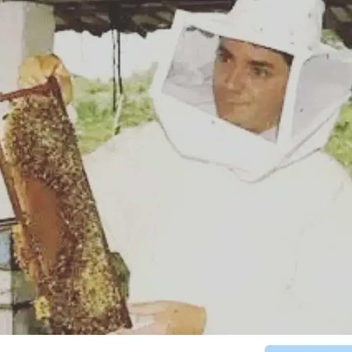 Sobre o Apiário Favo de Ouro