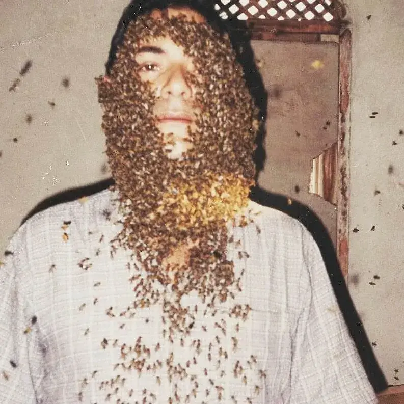 Ideval José Reis Martins - Barba de Abelha - Apiário Favo de Ouro